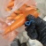 精品水洗胡萝卜大量供应货源充足山东产地直发。
