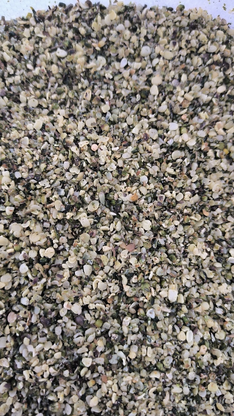 火麻仁中药材批发火麻仁质量保证量大从优