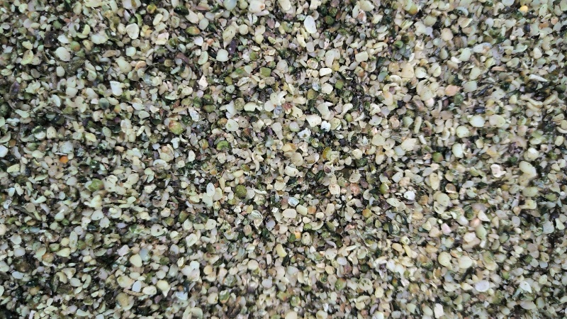 火麻仁中药材批发火麻仁质量保证量大从优