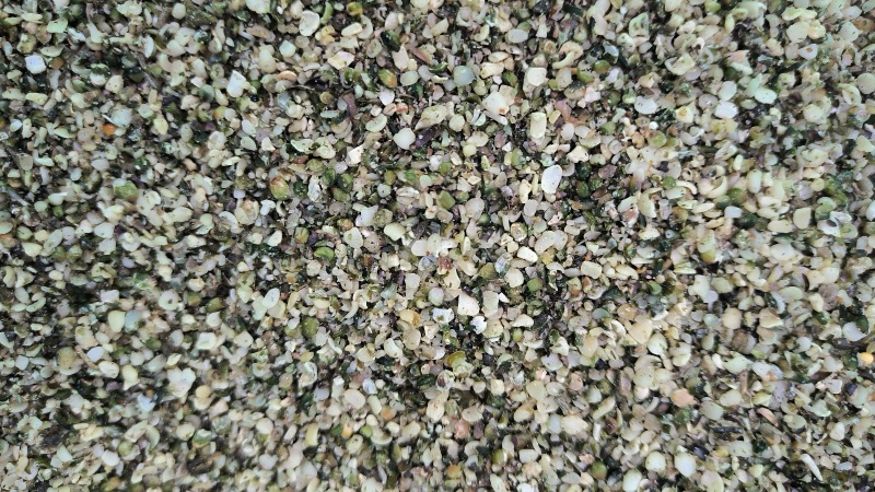 火麻仁中药材批发火麻仁质量保证量大从优