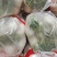 水洗精品白萝卜大量供应，货源充足，欢迎及时联系。