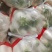 水洗精品白萝卜大量供应，货源充足，欢迎及时联系。