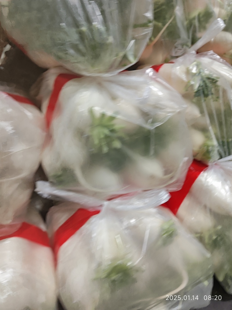 水洗精品白萝卜大量供应，货源充足，欢迎及时联系。