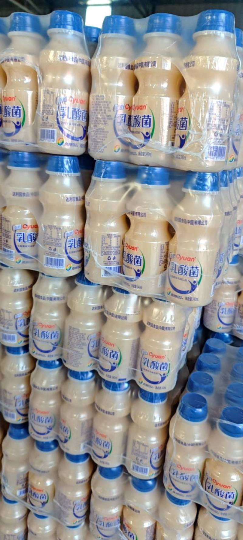 乳酸菌5块一提，12瓶