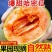 晓蜜25哈密瓜/海南哈密瓜/乐东哈密瓜/产地代办欢迎来电