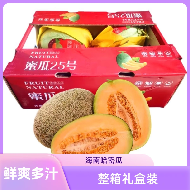晓蜜25哈密瓜/海南哈密瓜/乐东哈密瓜/产地代办欢迎来电