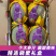 晓蜜25哈密瓜/海南哈密瓜/乐东哈密瓜/产地代办欢迎来电