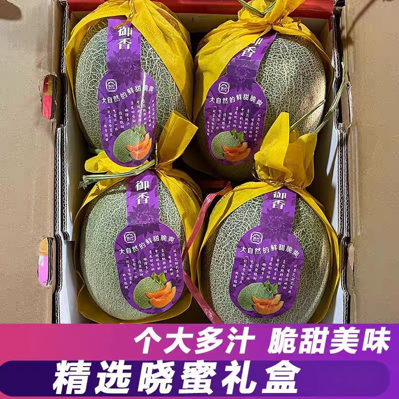 晓蜜25哈密瓜/海南哈密瓜/乐东哈密瓜/产地代办欢迎来电