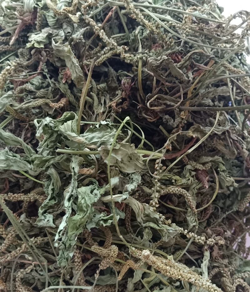 车前草，全草干货，量大价格优惠，可长期供货。