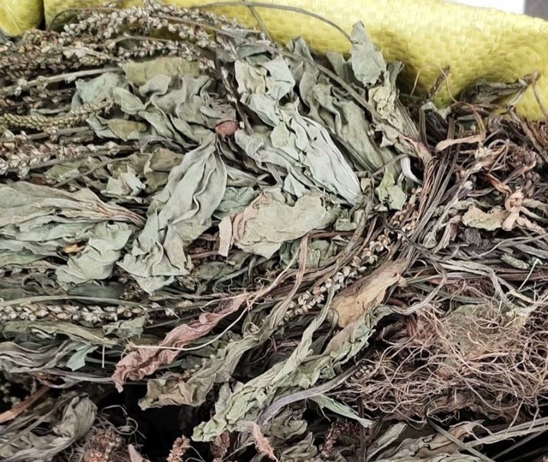 车前草，全草干货，量大价格优惠，可长期供货。