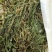 车前草，全草干货，量大价格优惠，可长期供货。
