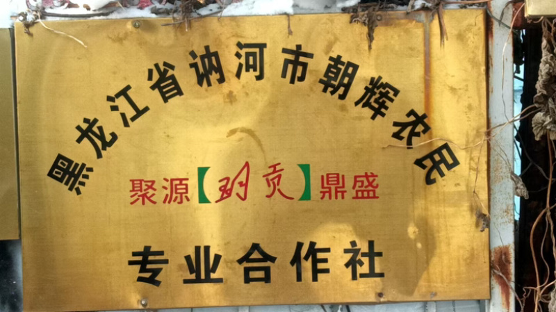 讷河市朝辉农民专业合作社自己种植自己加工甜糯玉米面