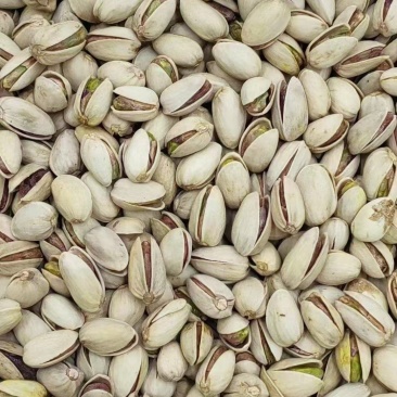 开心果本色开心果白色开心果坚果过年零食干果热销