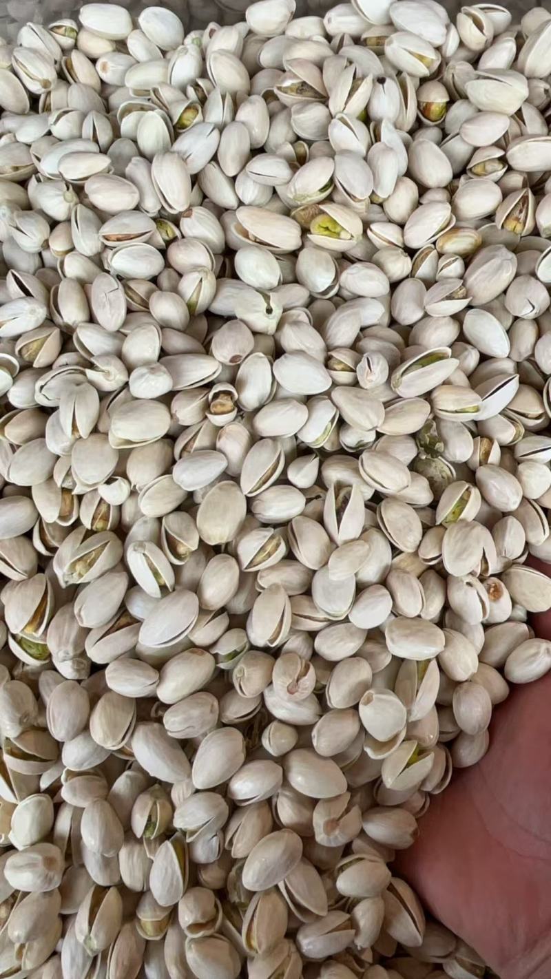 开心果本色开心果白色开心果坚果过年零食干果热销