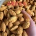 巴旦木龙果巴旦木爆壳巴旦木薄壳巴旦木坚果干果零食一手货源