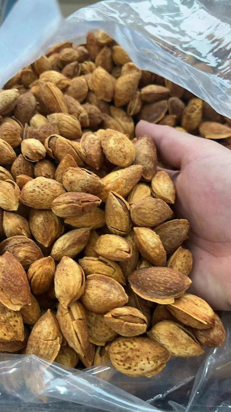 巴旦木龙果巴旦木爆壳巴旦木薄壳巴旦木坚果干果零食一手货源