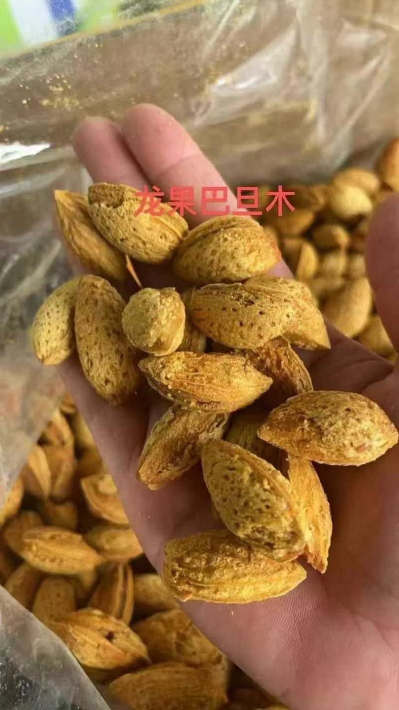 巴旦木龙果巴旦木爆壳巴旦木薄壳巴旦木坚果干果零食一手货源