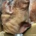 牛拱嘴牛嘴巴熟牛嘴巴牛头肉火烧毛牛拱嘴无碱火烧毛