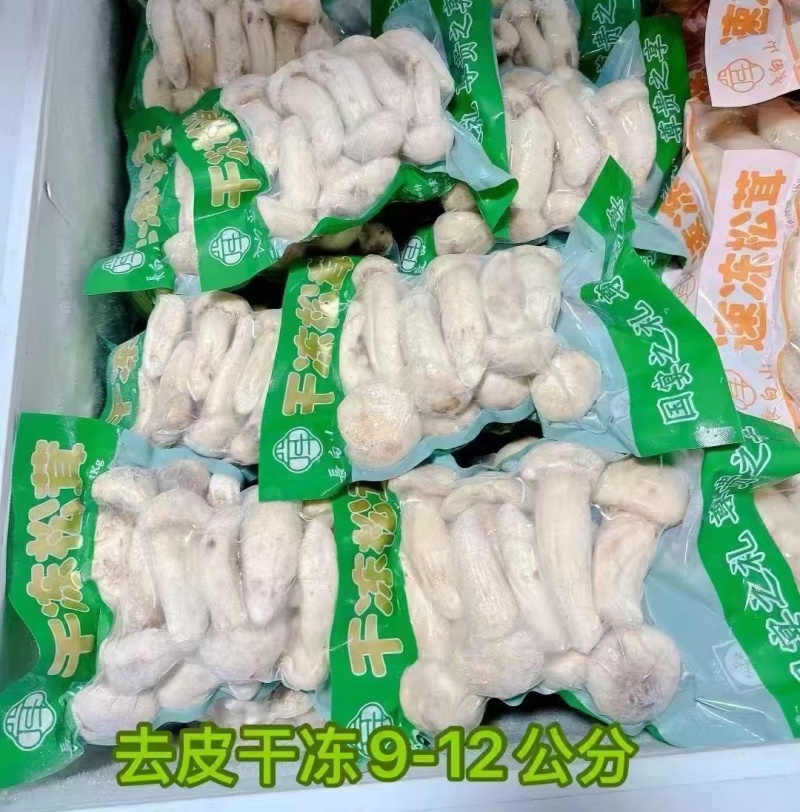 长白山野生松茸，冻货。绿色食品无污染。