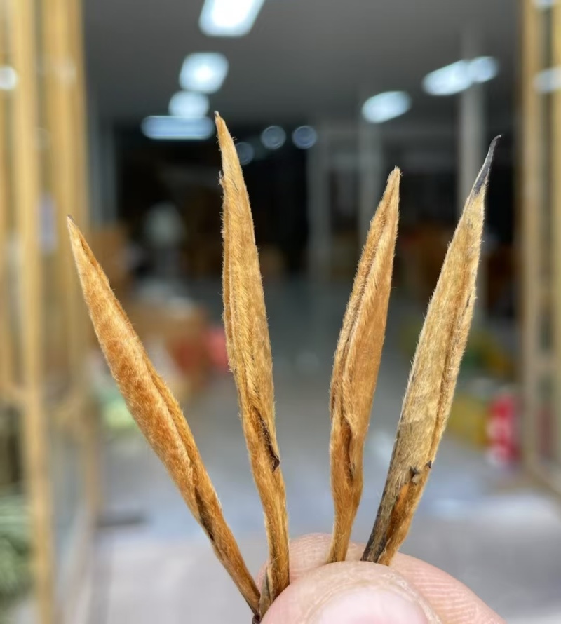 高蜜香【大金针】精致木盒装