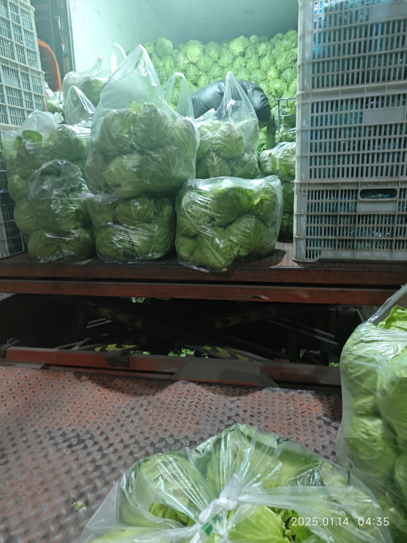 甘蓝大量供应山东，产地直发，货源充足，量大从优，欢迎咨询