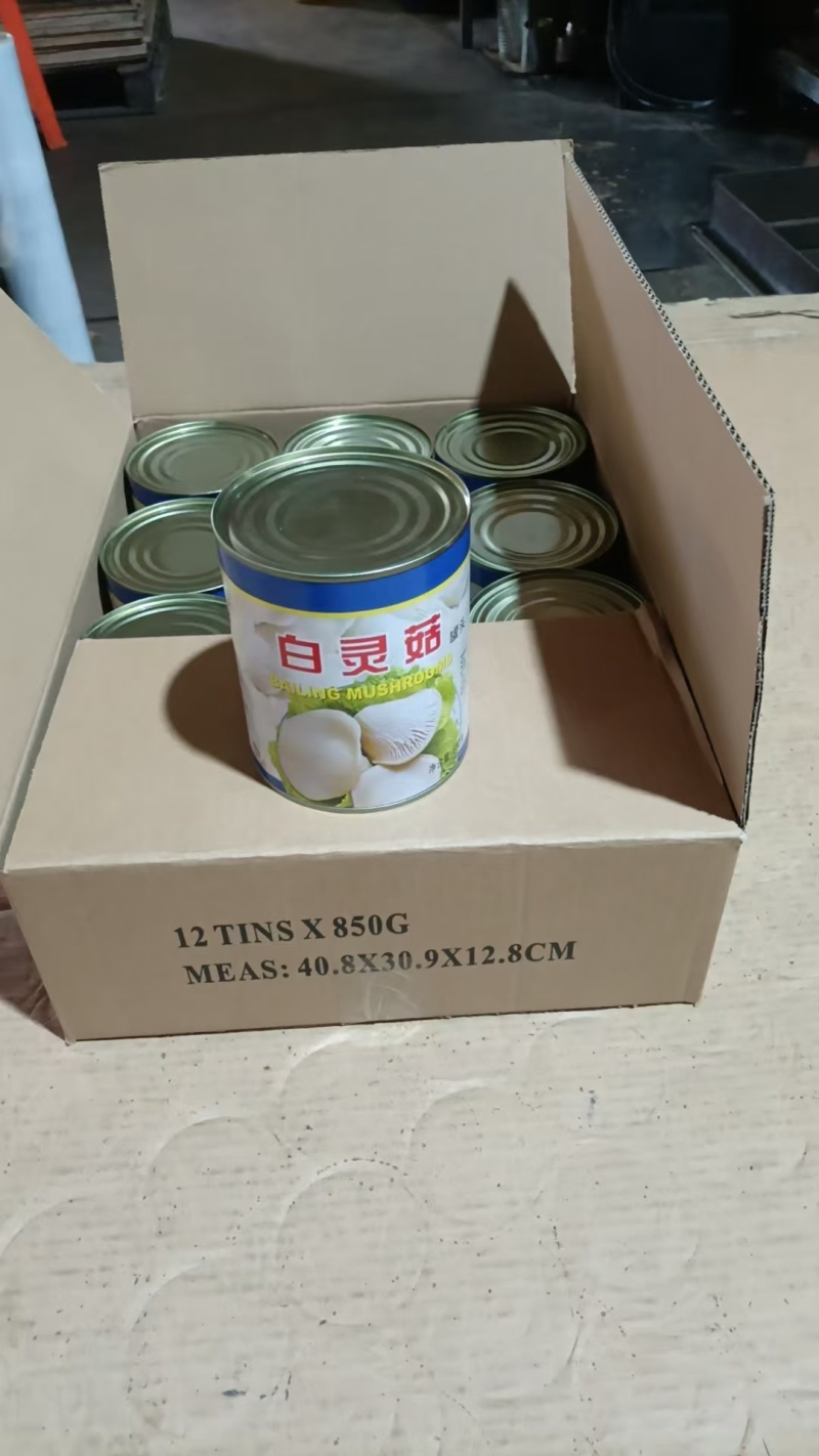 白灵菇罐头出口金君牌