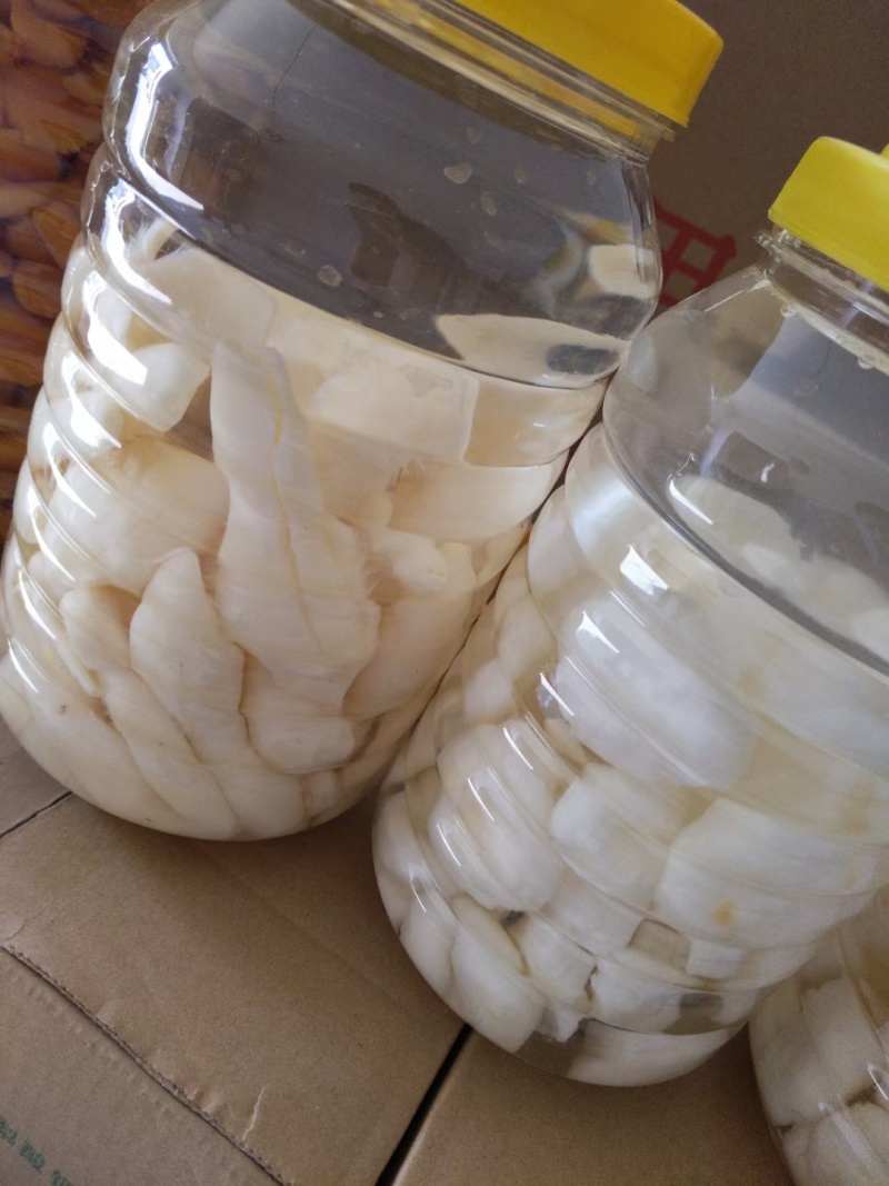 蘑菇罐头蘑菇罐头清水蘑菇批发盐渍清水蘑菇
