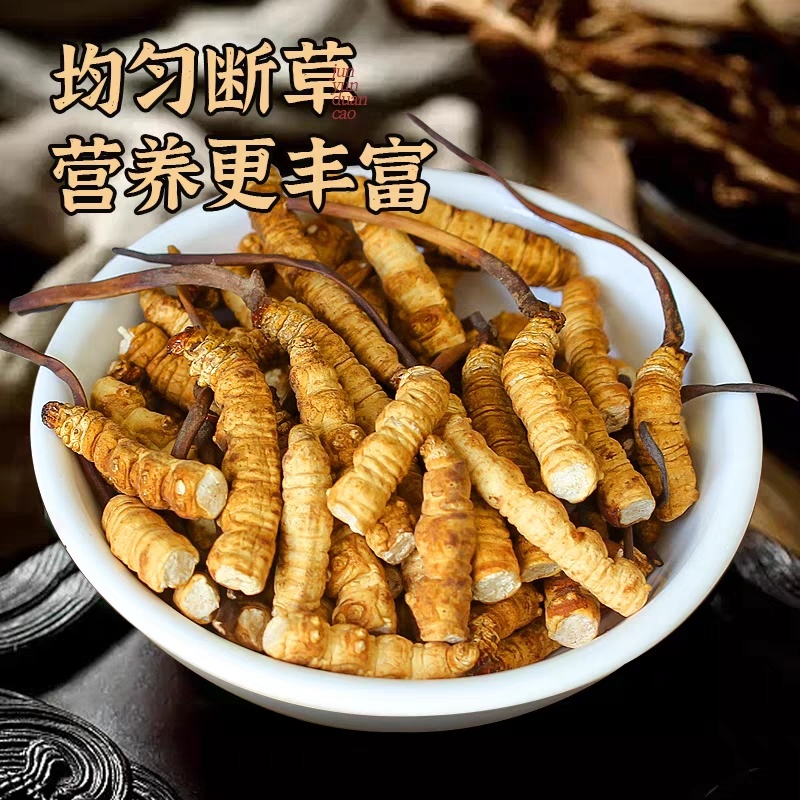 冬虫夏草断草西藏断草纯肉体断虫草有草头断草泡酒泡药药引子断草