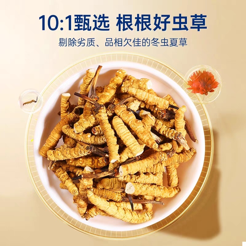 冬虫夏草断草西藏断草纯肉体断虫草有草头断草泡酒泡药药引子断草