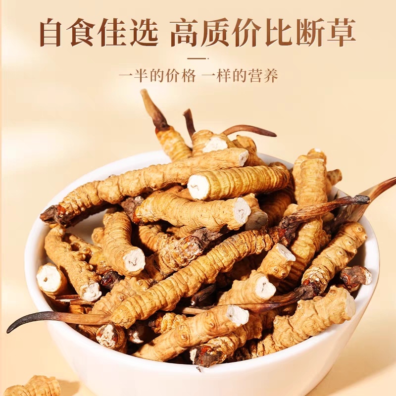 冬虫夏草断草西藏断草纯肉体断虫草有草头断草泡酒泡药药引子断草
