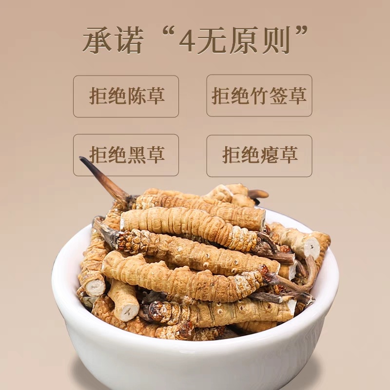 冬虫夏草断草西藏断草纯肉体断虫草有草头断草泡酒泡药药引子断草