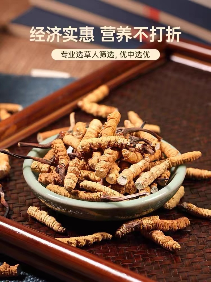 冬虫夏草断草西藏断草纯肉体断虫草有草头断草泡酒泡药药引子断草