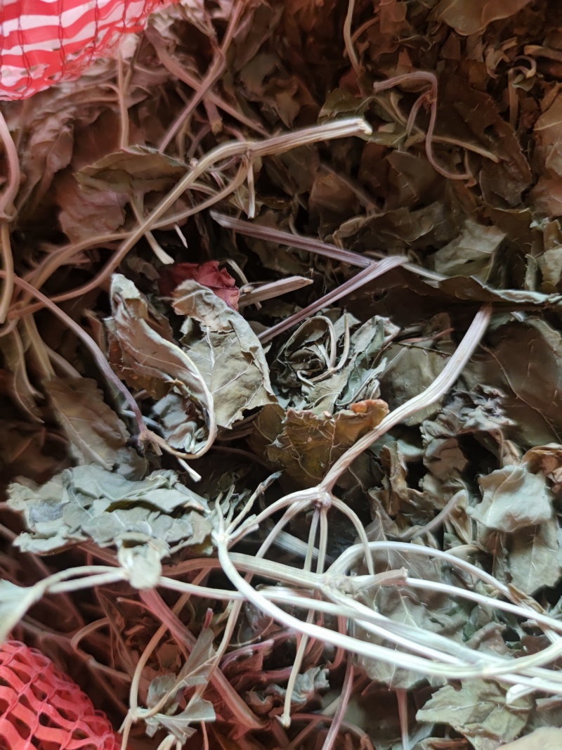三七叶田七干叶子正宗云南文山野生干烘干叶茶三七叶粉中药材