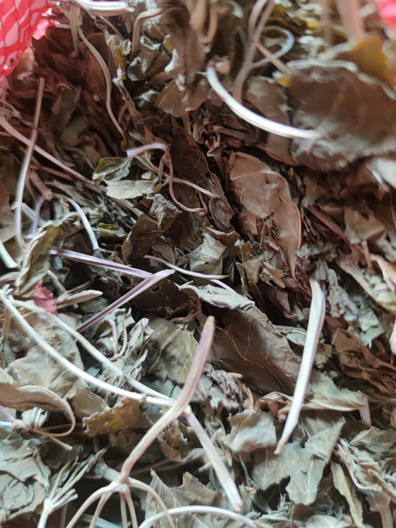三七叶田七干叶子正宗云南文山野生干烘干叶茶三七叶粉中药材