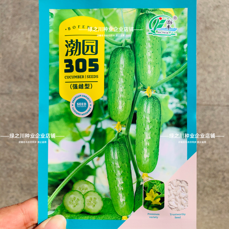渤园305黄瓜种子强雌高产早熟水果黄瓜种子短棒清香脆甜