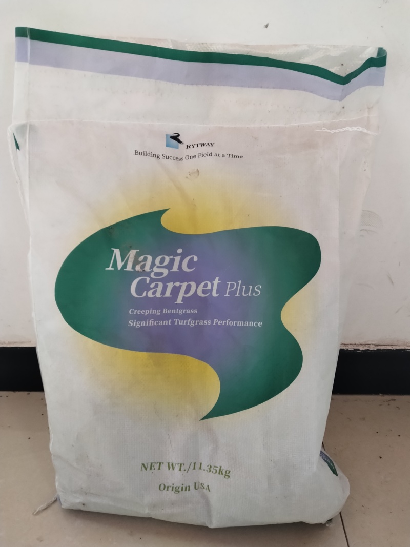 进口魔毯匍匐剪股颖草籽庭院别墅耐践踏高尔夫球场草坪种子