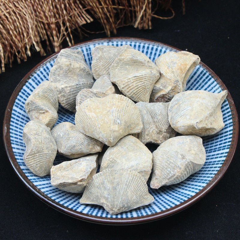 中药材石燕石燕子燕子石大石燕店铺中草药大全