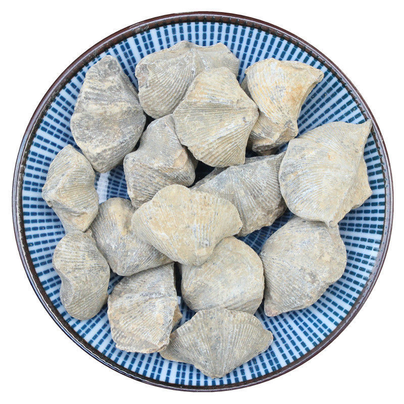 中药材石燕石燕子燕子石大石燕店铺中草药大全