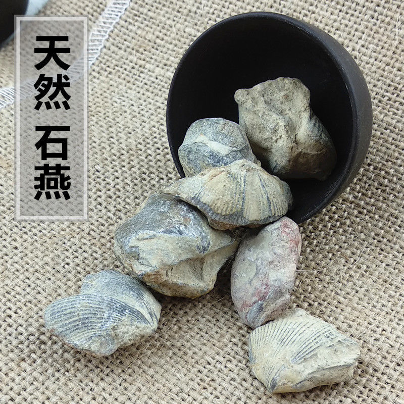 中药材石燕石燕子燕子石大石燕店铺中草药大全