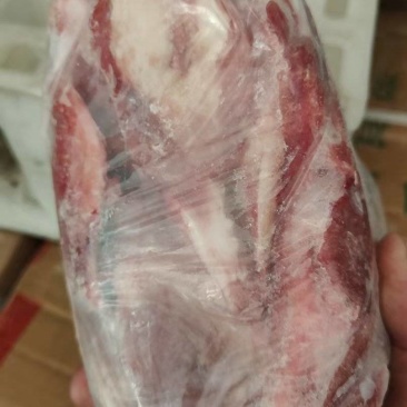 肥猪月牙骨