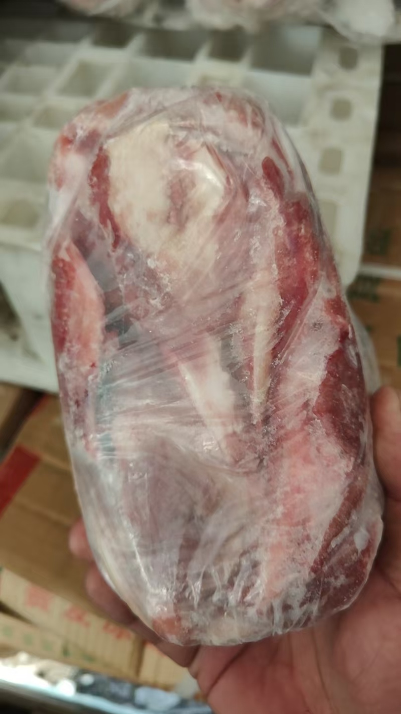 肥猪月牙骨
