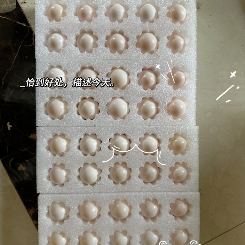 河南新鲜鸽子蛋批发15-18克厂家直发一手货源全国发货