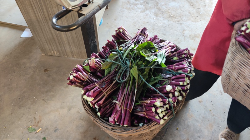 红菜苔红花芯湖北红菜苔红油菜产地发货