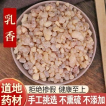乳香乳香珠1公斤生乳香马尾香乳头香天泽香店铺大全粉