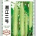 湘江二号白黄瓜高产耐热商品性好采收长基地专用春夏秋播种