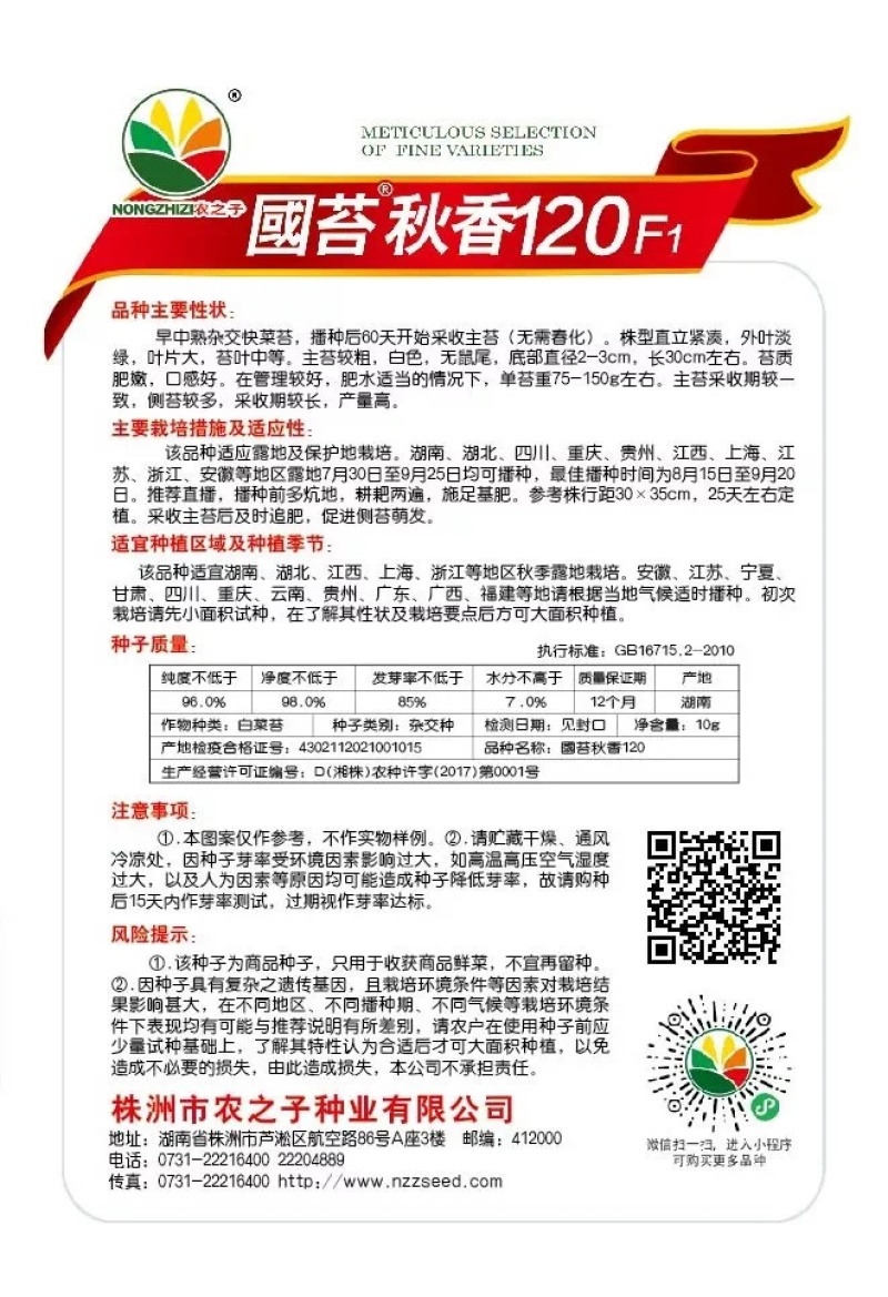 早熟白菜苔种子广东菜薹国苔秋香120早熟高产秋冬季菜
