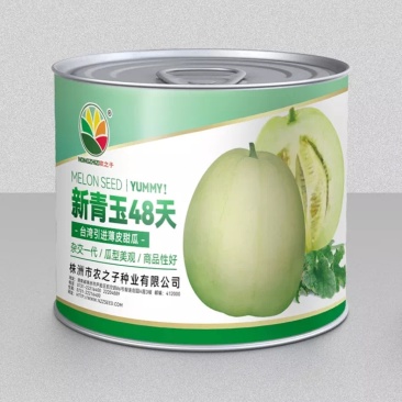 新青玉48天56天一代杂交浓香薄皮甜瓜高产抗病丰产春夏