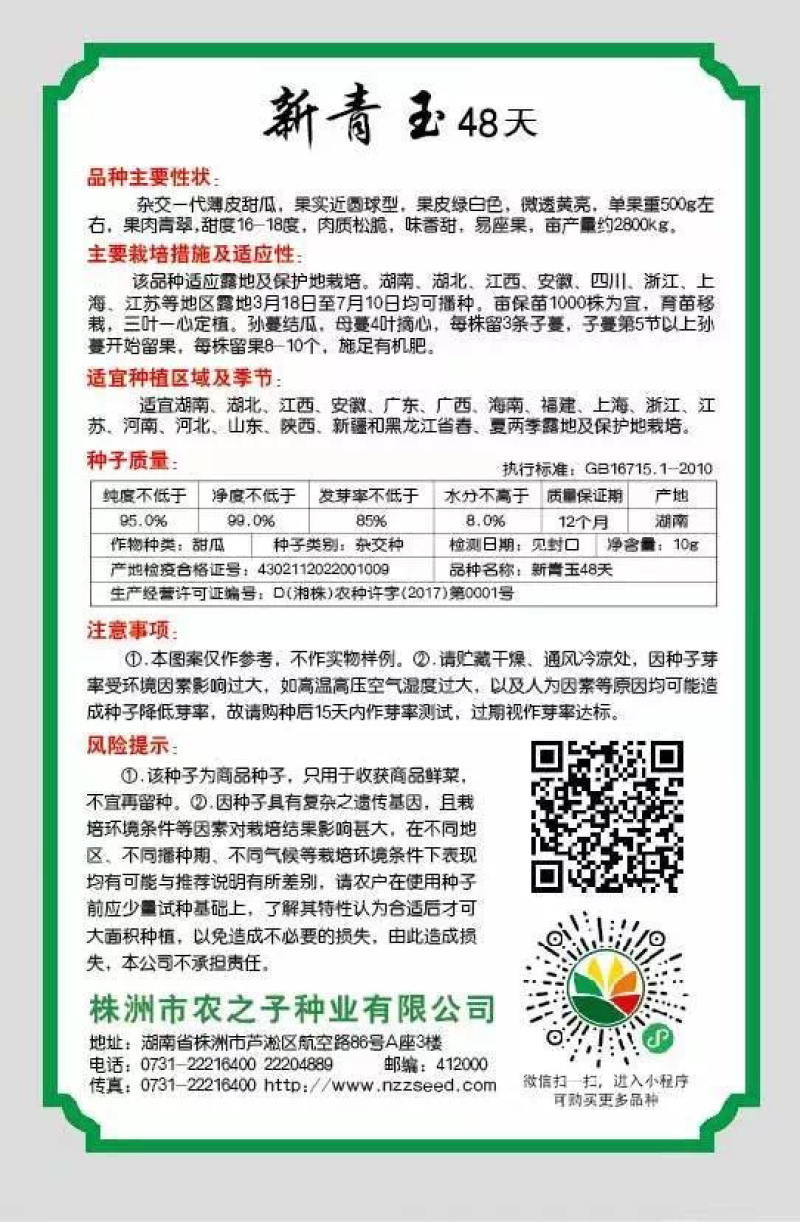 新青玉48天56天一代杂交浓香薄皮甜瓜高产抗病丰产春夏