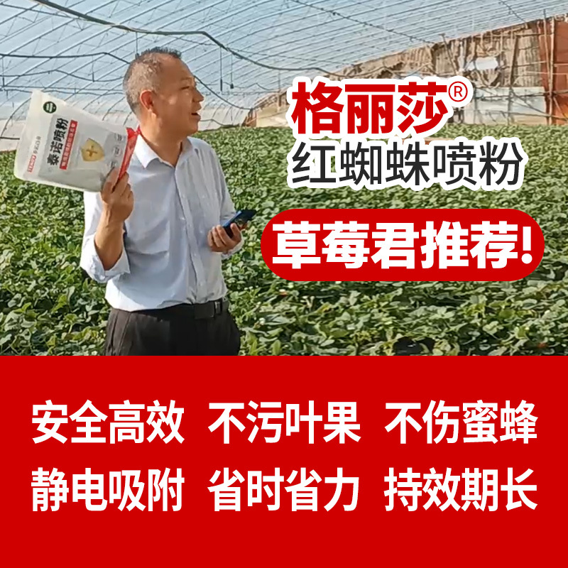 泰诺格丽莎草莓红蜘蛛喷粉[不伤花果不伤蜂,草莓君推荐]