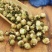 山茶花茶1公斤干茶花茶叶中药材山椿耐冬干芥茶花干山茶花茶泡茶